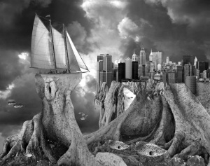 Fish Out of Water, Thomas Barbèy